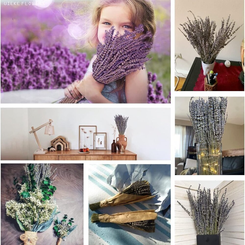 Dried Lavender Bundles, Natural Dried Lavender Flowers 280-300 Stems 16“ for Hom - Picture 5 of 9